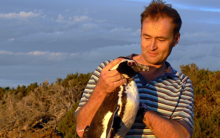 Professor Rory Wilson holding a penguin