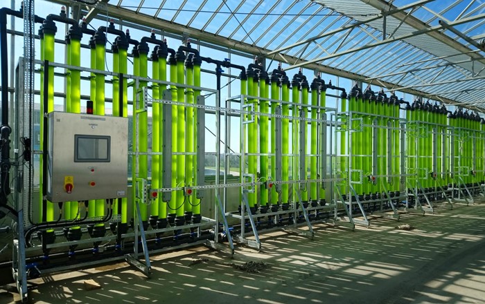 Project reveals how algae could play crucial role in sustainable food production