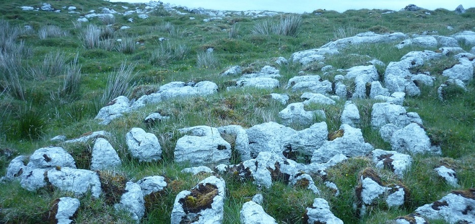 The Traditional Medicine Group discovered that soil used in ancient Irish folk medicine in the West Fermanagh scarplands contains several species of these antibiotic producing organisms