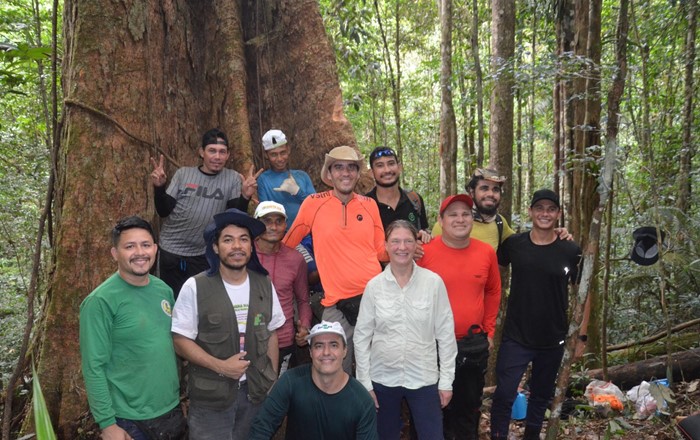 Dr Jackie Rosette (standing, white shirt) at the base of the 83 metre tree in the Amazon, with her colleagues on the research expedition