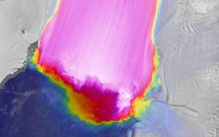 Satellite-based image of Pine Island Glacier, which is responsible for one quarter of the ice loss from Antarctica. Where it meets the ocean, the ice tongue is 30km wide and flowing at over 15 metres per day (pink to white colours).