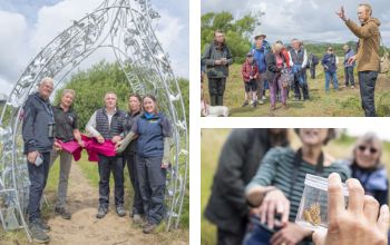 A collage of photos from the event: - The new sculpture with a ribbon tied around it. - Swansea University’s Ben Sampson speaking to visitors of the burrows. - A butterfly being studied in a plastic container. 