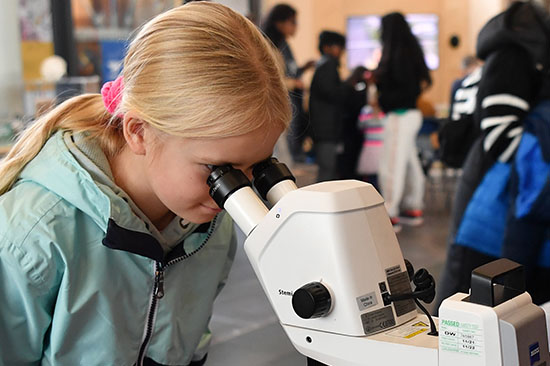 A young girl lookinhg through a microscope