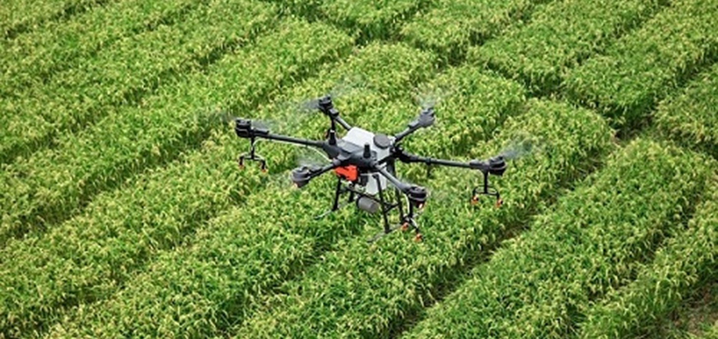 A drone flies over a crop field