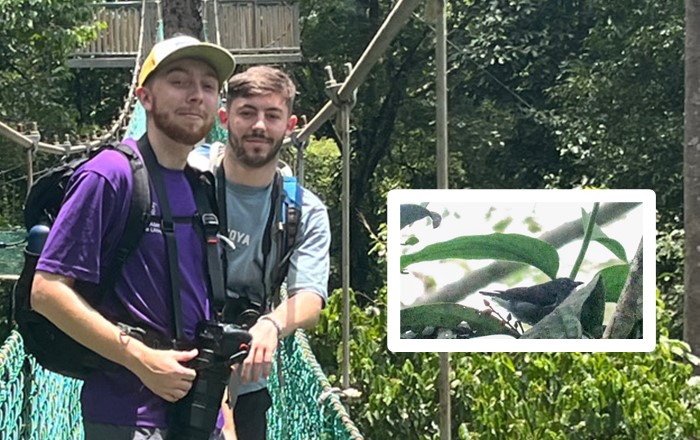 Two smiling young men standing on a rope bridge in a tropical setting. Inset is a picture of a bird standing on a branch among leaves