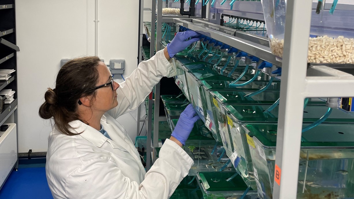 A photo of Dr Emma Kenyon in a lab. Dr Kenyon is wearing glasses and a white coat.