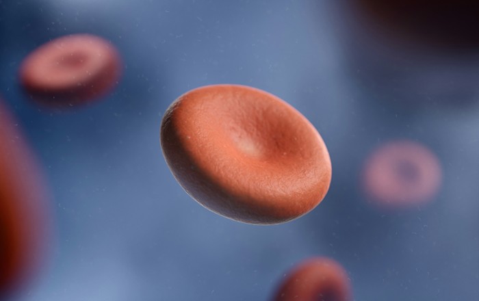 An Illustration of red blood cells and a platelet in the bloodstream. Credit: digitale.de on Unsplash.