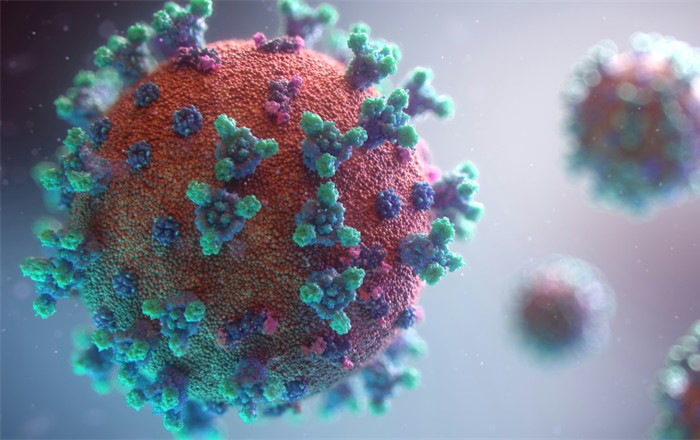 A visualisation of the virus which causes Covid-19. Credit: Fusion Medical Animation - Unsplash.