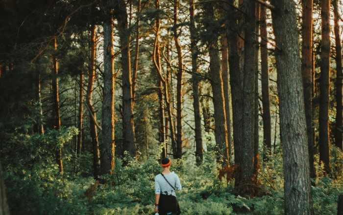 Female walking in woodland
