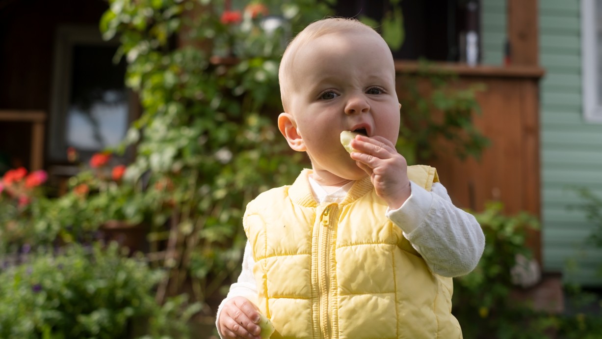 A photo of an infant eating. Credit: Koldunov | Shutterstock.