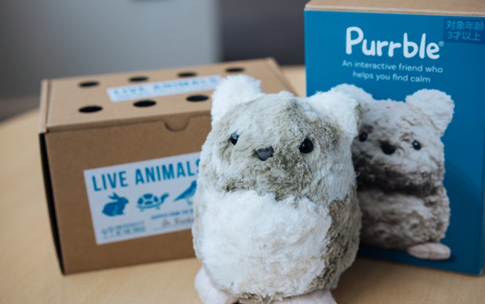Small grey furry robotic creature in front of a cardboard box