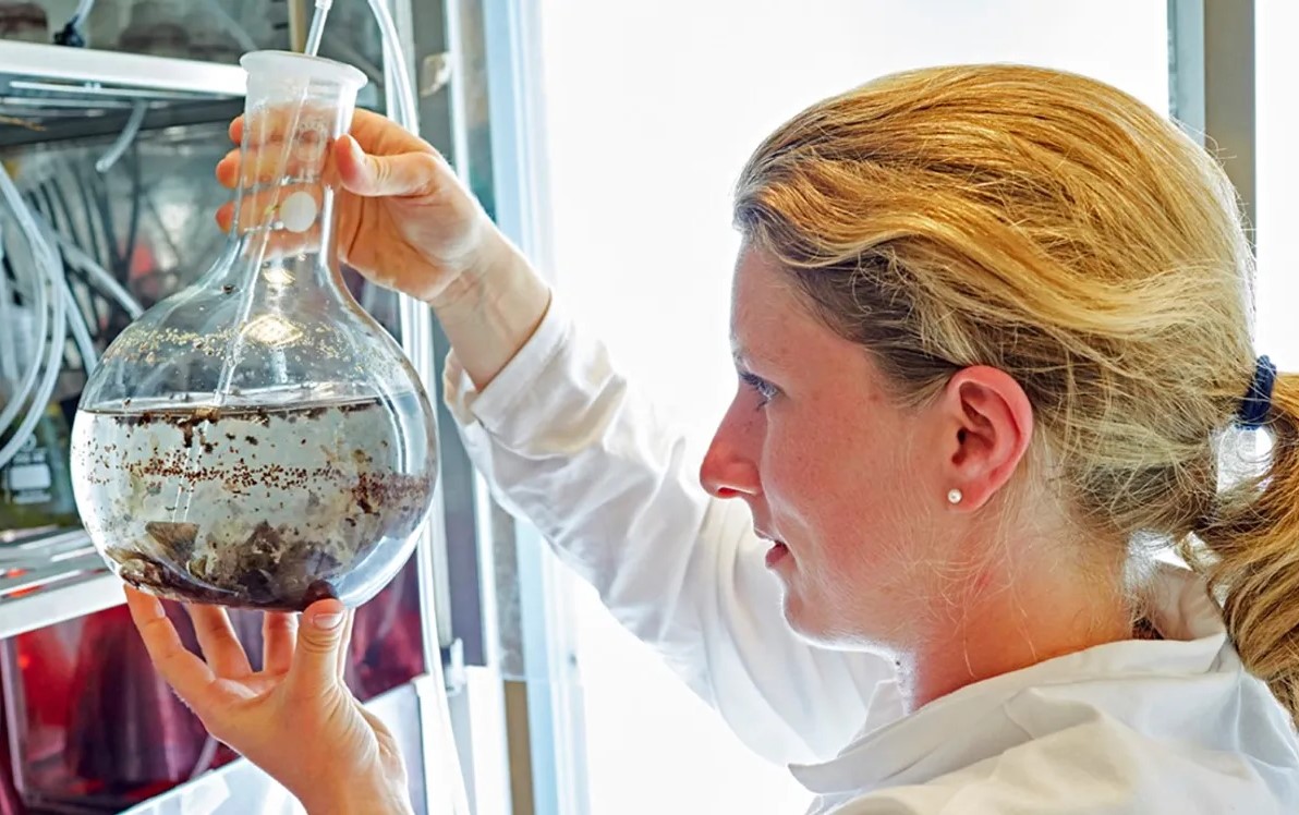 Scientist looking at algae