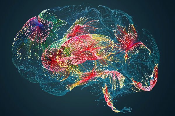 A colourful 3d version of a brain