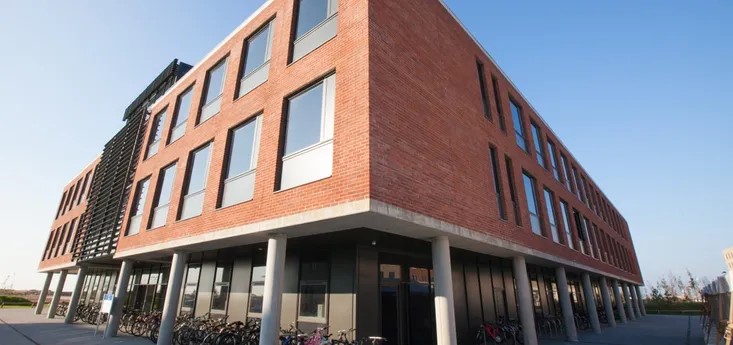 School of Management at Bay