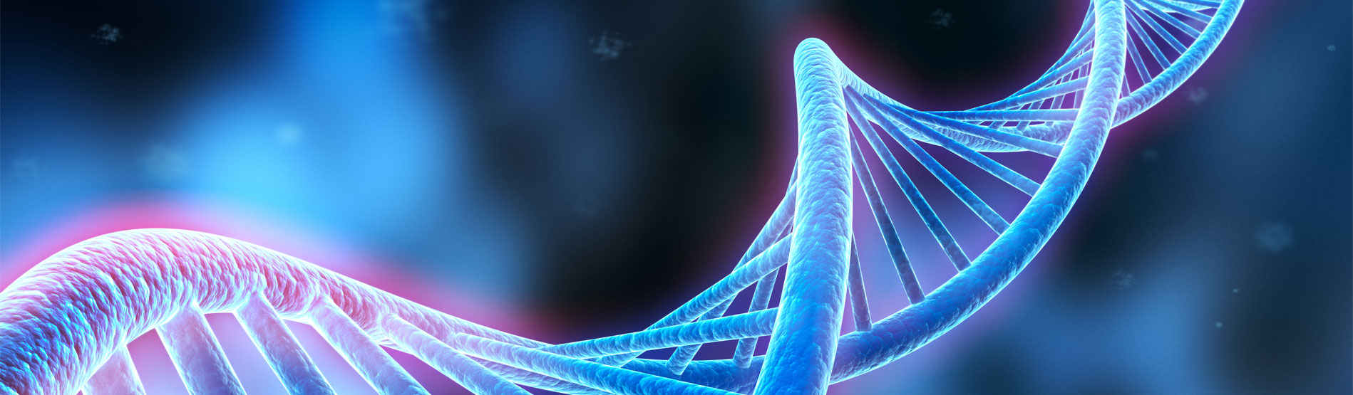 DNA Damage and the Safety of Nanomaterials