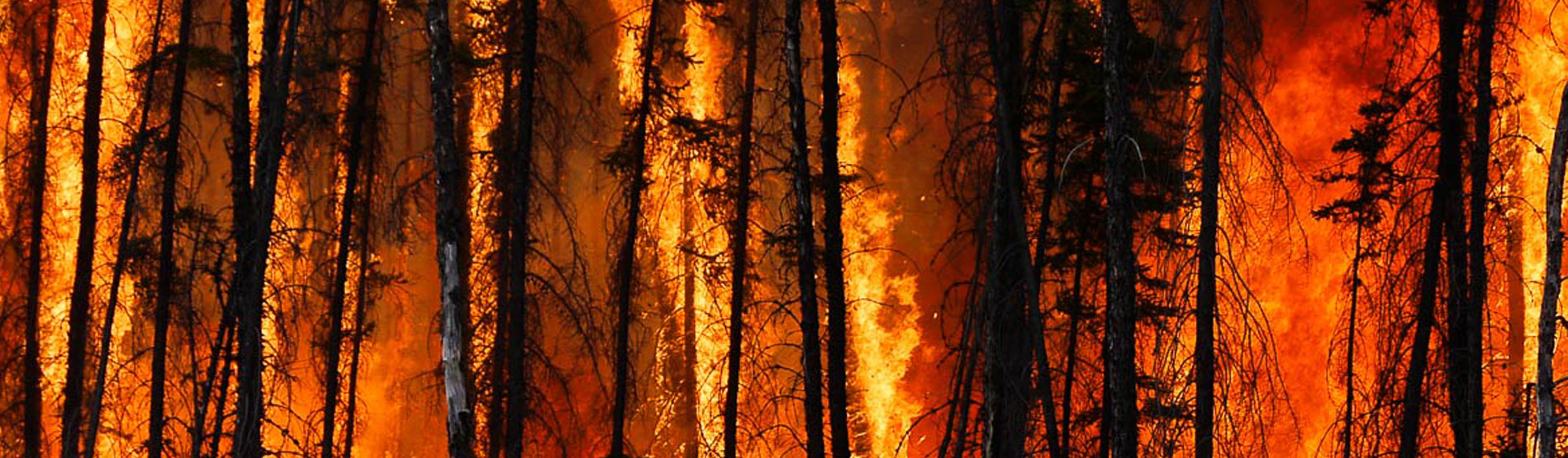 Mitigating the impact of wildfires on water resources