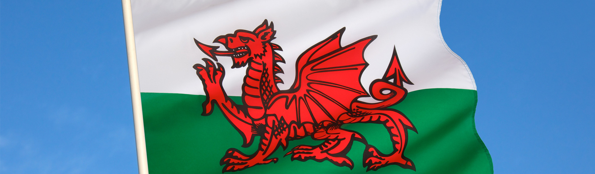 Reversing Language Shift in Wales