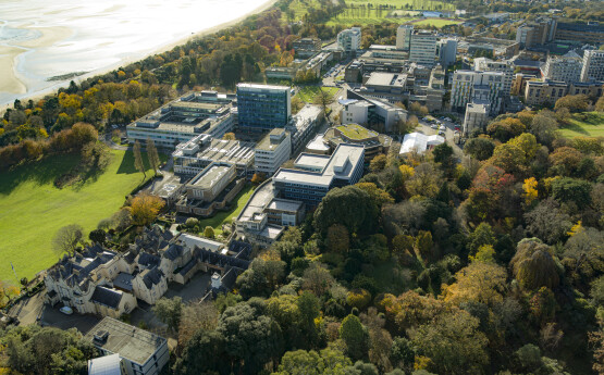 aerial shot of singleton campus