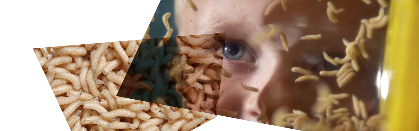 Maggots in front of a child's face