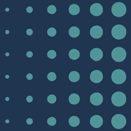 National Confidential Inquiry into Suicide and Safety in Mental Health Logo