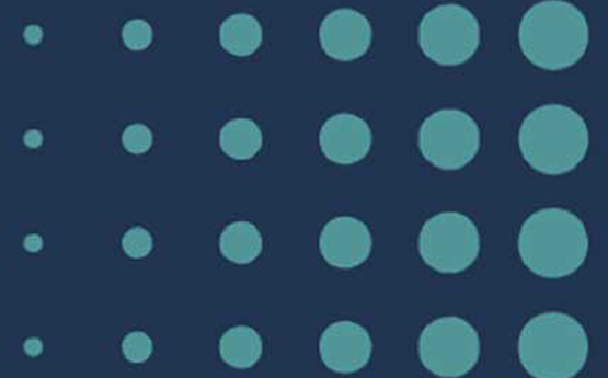 NCISH Logo