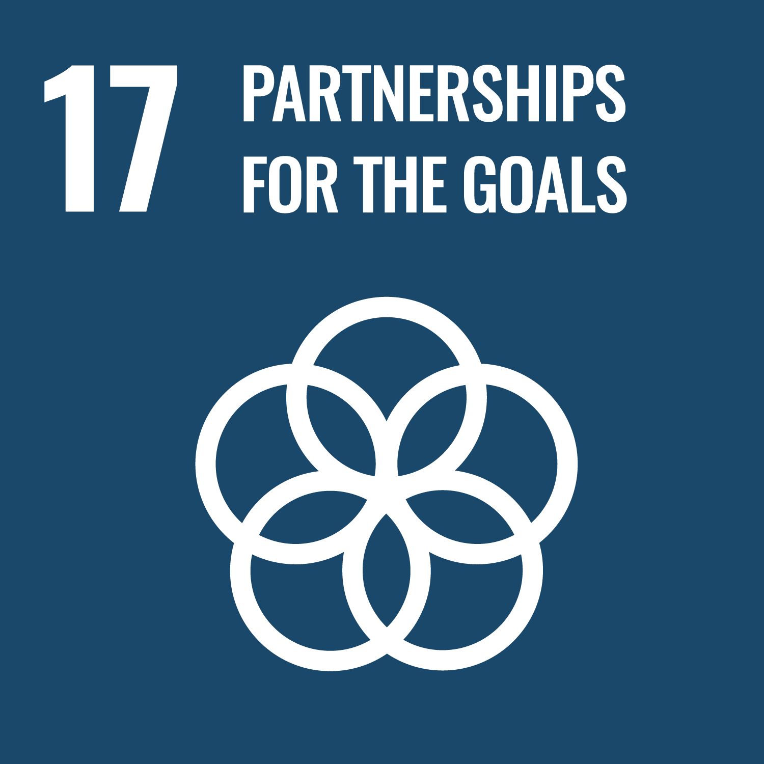 ICON FOR UN sustainable goal for partnerships