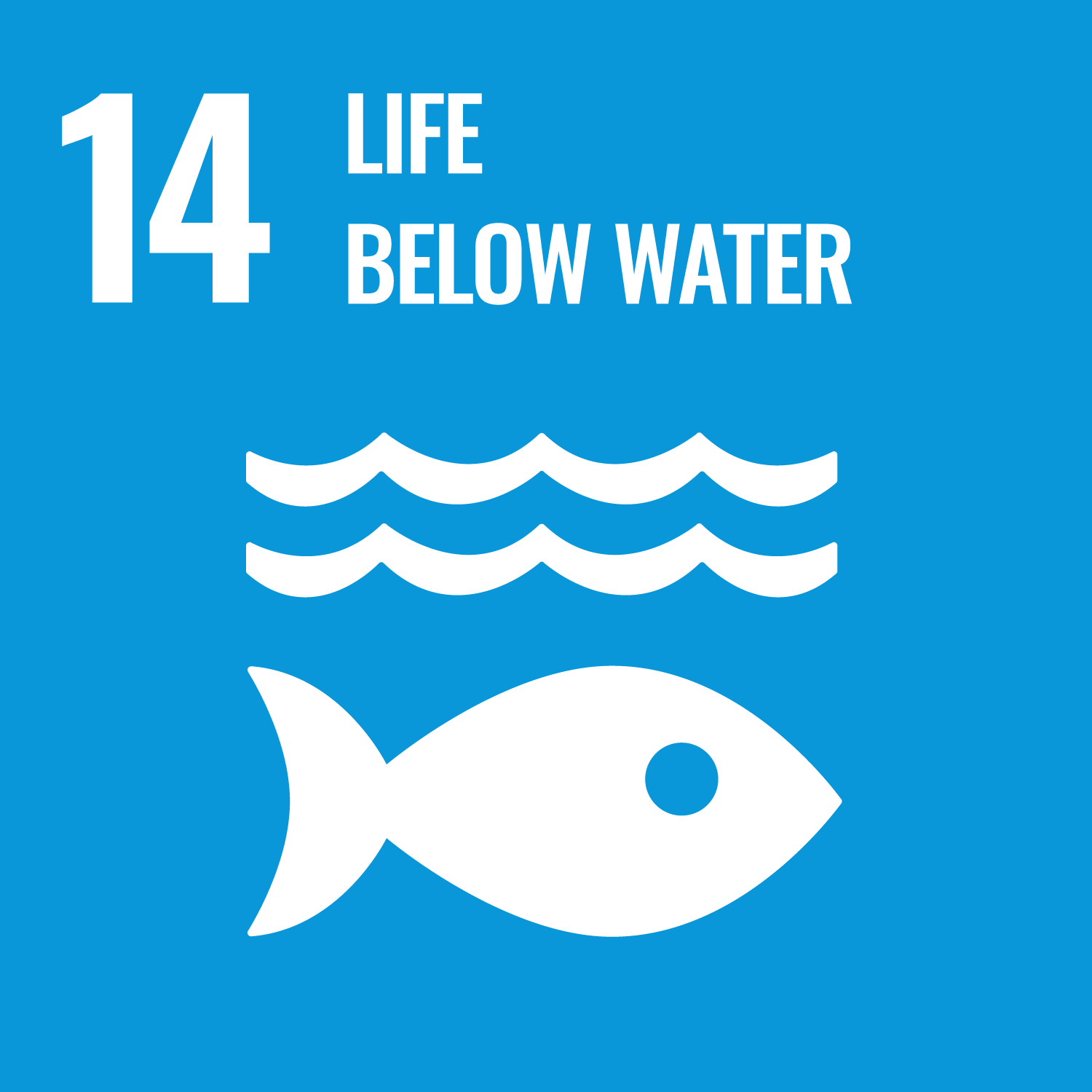 UN Sustainable goal - Life below water