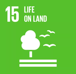 UN Sustainable goal - Life on Land