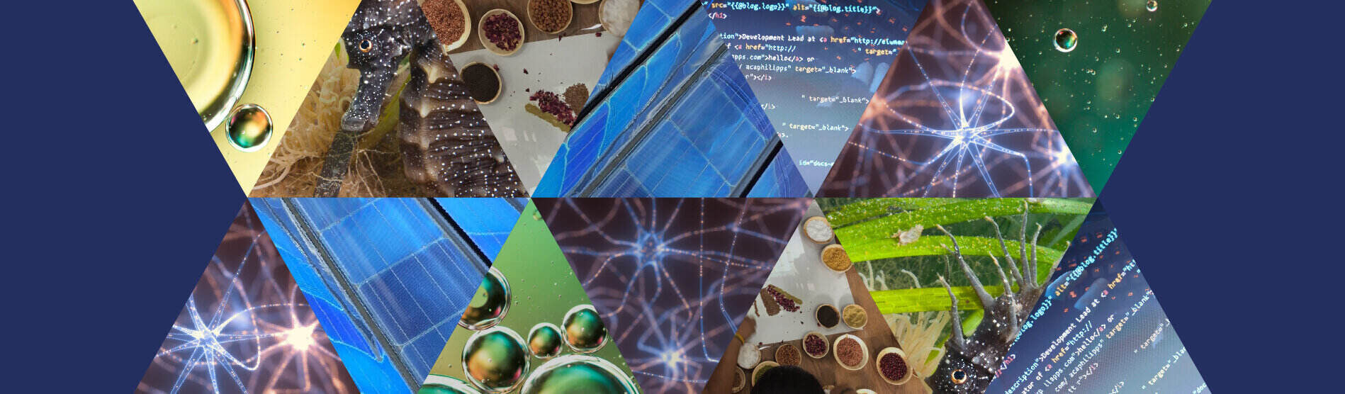 montage of 7 images one representing each research highlight at Swansea Uni Neuron firing, white mask on laptop, solar panel, people with coloured spices in India, oil on water, and underwater seaweed and seahorse