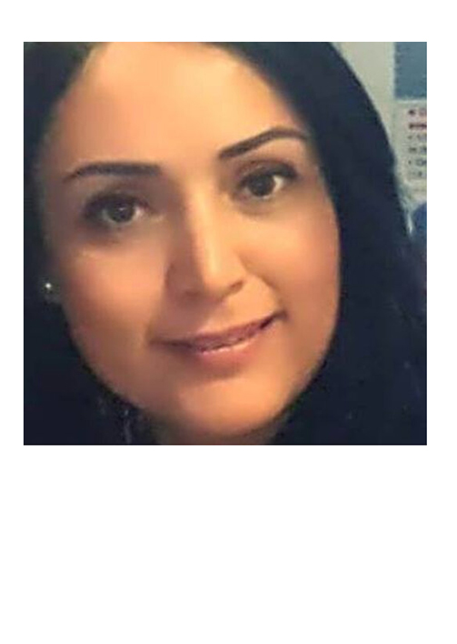 Professor Sana El Mhamdi