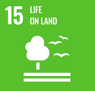 UN Development Goal - Life on Land icon