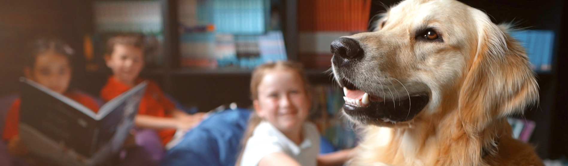 child smiling and a dog