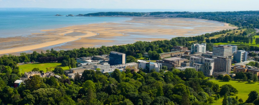 A image of singleton campus from Aerial View