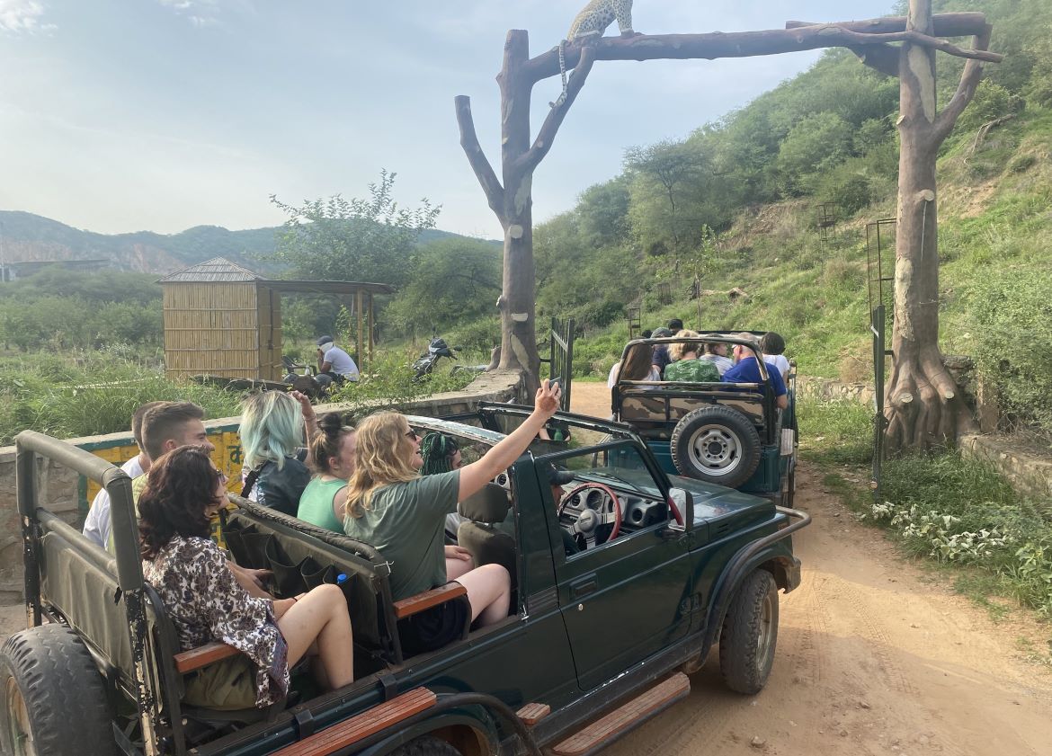 Road trip in jeeps 