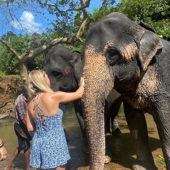 Student and Elephant