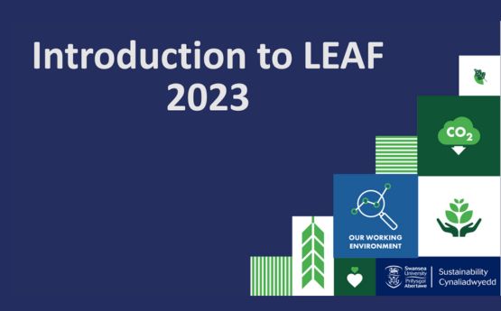 An introduction to LEAF