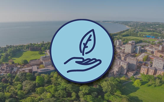 An icon depicting a hand holding a leaf appears in front of an image of Swansea Bay