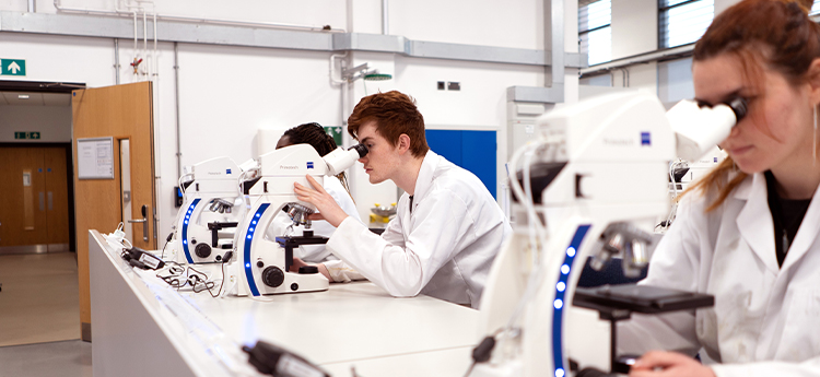 Men and women in a lab looking through microscopes