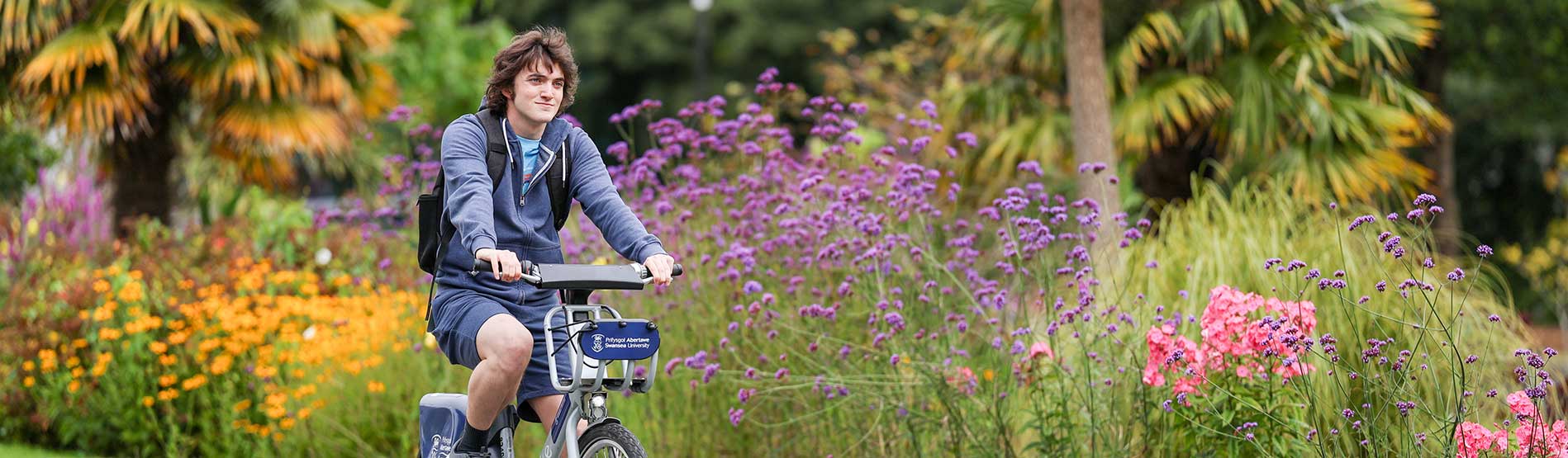 A male student cycling on a Swansea University Cycle with beautiful flowers in bloom in the background