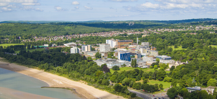 Map showing Swansea bus services and routes