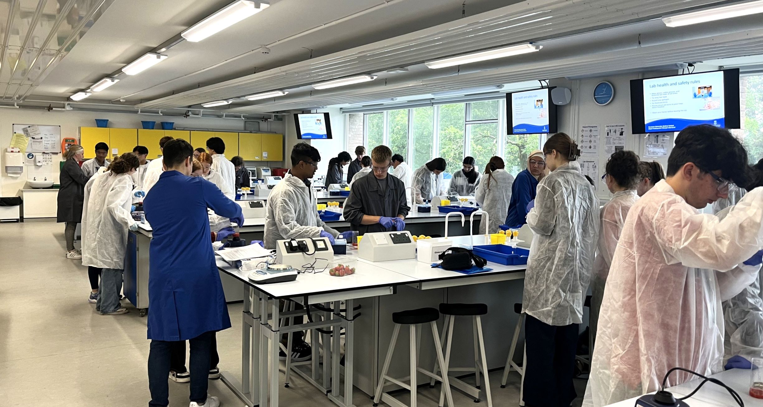 Students in a lab