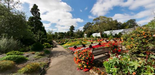 Colourful botanical garden with flower beds, pathway, and benches