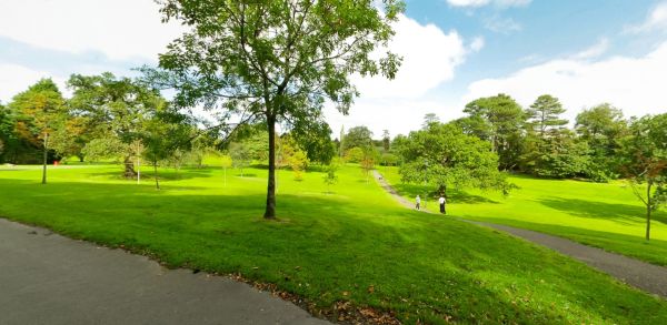 Sunny view of paths and green lawns in Singleton Park with trees and a lamppost
