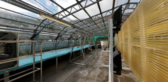 Glasshouse research facility with biofences and plant-growing systems