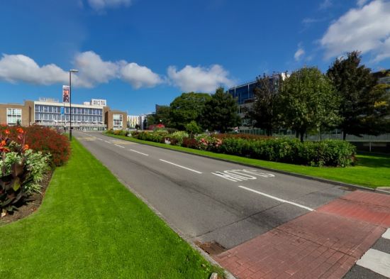 Road lined with green lawns and flowerbeds leading towards campus building