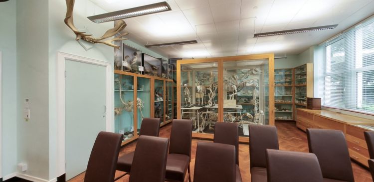 Zoology Museum with specimen displays, skeletons and teaching seating
