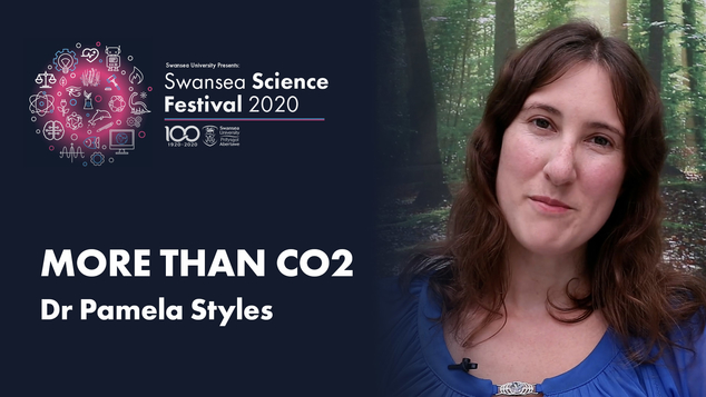 Dr Pamela Styles Swansea Science Festival Event banner