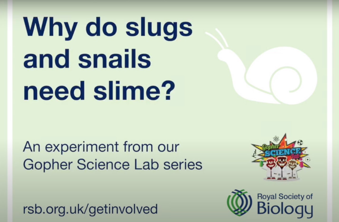Why to slugs and snails need slime? 